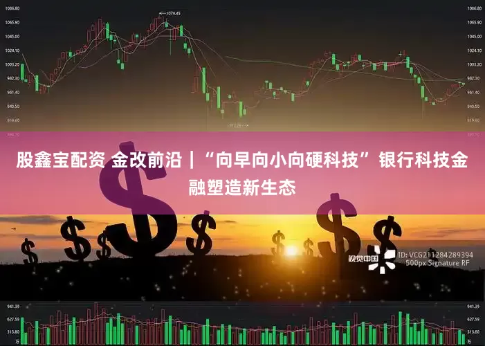 股鑫宝配资 金改前沿｜“向早向小向硬科技” 银行科技金融塑造新生态